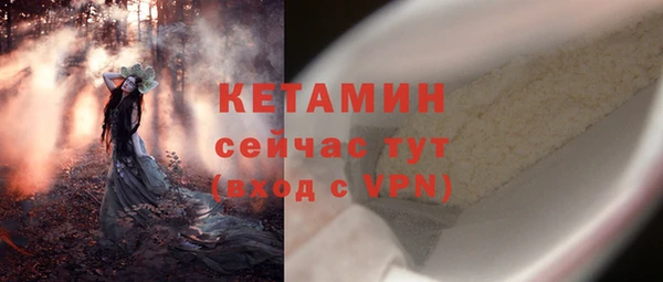 хмурый Верея