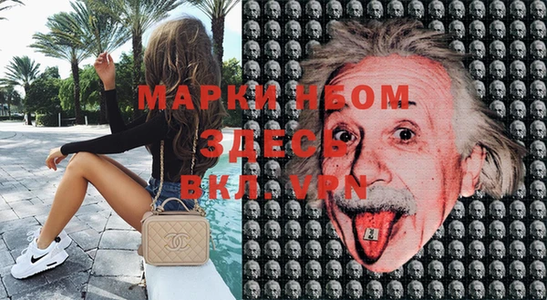 хмурый Верея