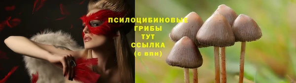 круглые Верхний Тагил