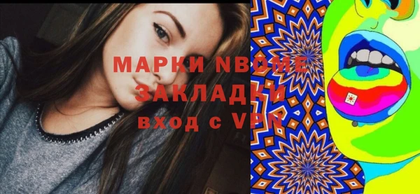 хмурый Верея