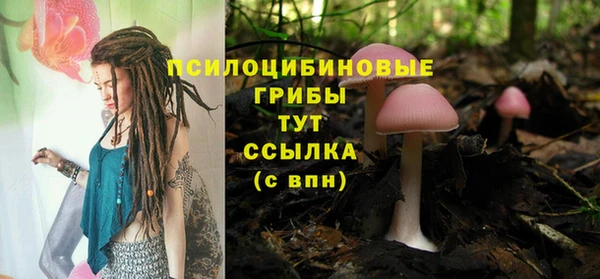хмурый Верея