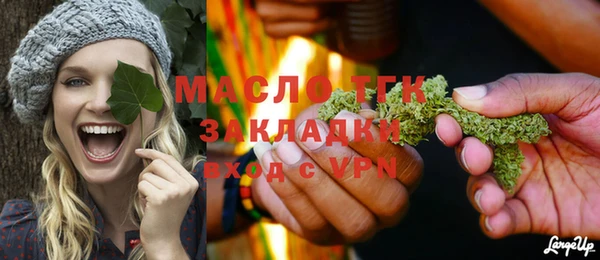 хмурый Верея