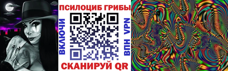 Галлюциногенные грибы Psilocybe  mega онион  Кашира  даркнет сайт 